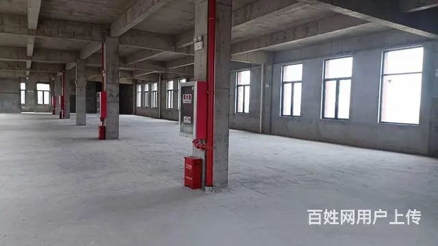 天宁区郑陆镇1600平全新厂房出售 - 图片 12