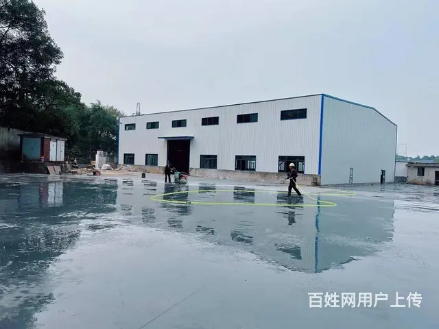 （老板本人）G319国道边新建独门独院厂房仓库出租 6187 - 图片 7