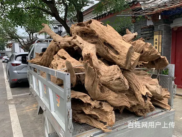广西土沉香批发 - 图片 2