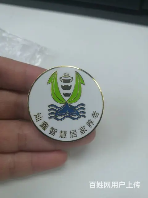 养老院徽章 烤漆金属胸针 做工精细. - 图片 1