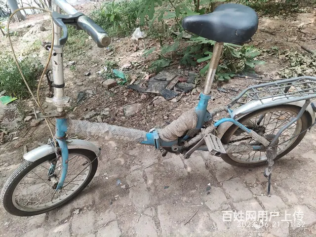 飞鸽折叠自行车 - 图片 3