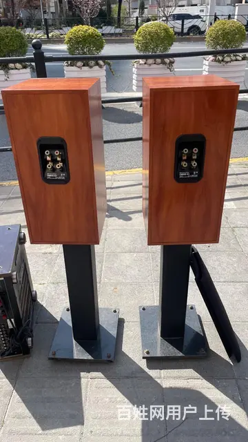 英国进口B&W/宝华 DM602S3 发烧音箱 - 图片 5