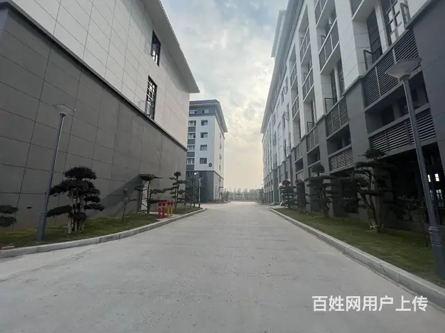 自有全新园区招租 单层独栋 多面积段 业态不限 欢迎咨询看房 - 图片 8