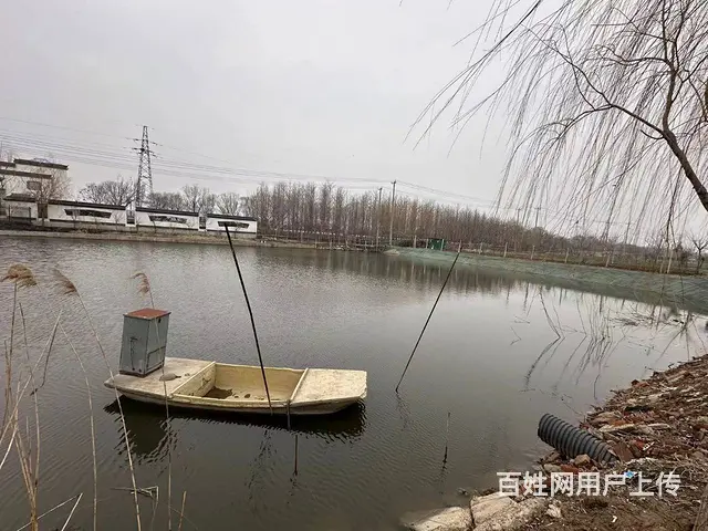 （弘扬快讯）新沂窑湾农家乐出租 - 图片 9