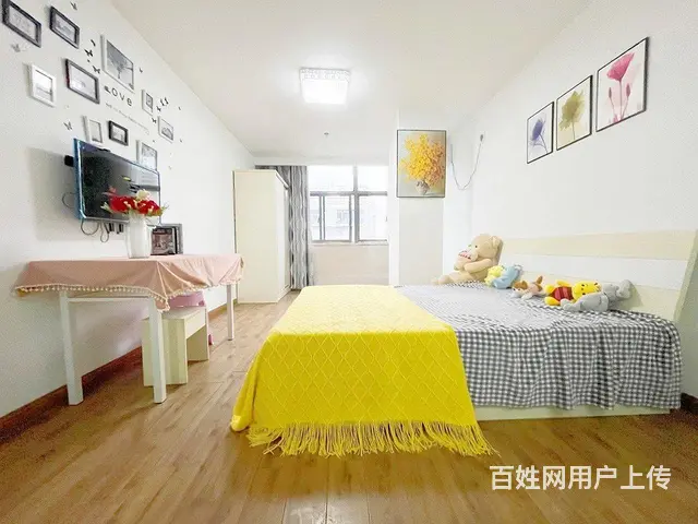 房東直租 月河 华庭街 多套公寓出租 拎包入住 全新配置 - 图片 5