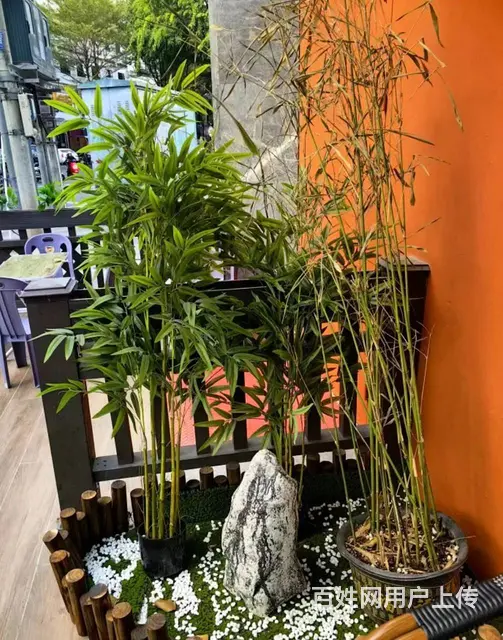 （51旺铺推荐）河西路情人颂一楼奶茶店转让 - 图片 8