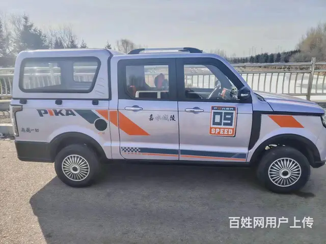 老年带步车出售 - 图片 3