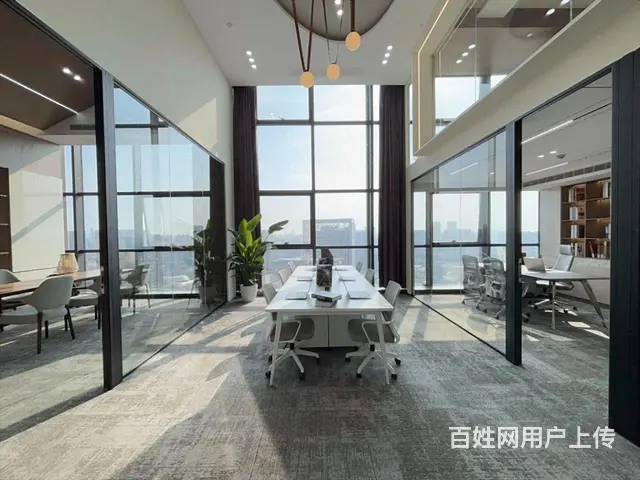 星耀城 2期，全新豪华装修 ，6米挑高，双地铁口，家具配齐全 - 图片 12