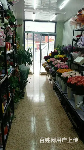 7640(七P)个人大通区桥头临街旺铺芸洋花店对外低价转让 - 图片 2