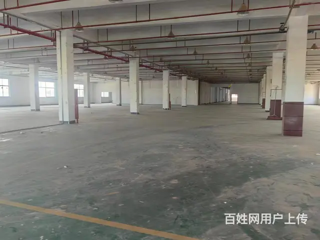 嘉善开发区二楼2000平5吨货梯，价格13元，消防喷淋 - 图片 3