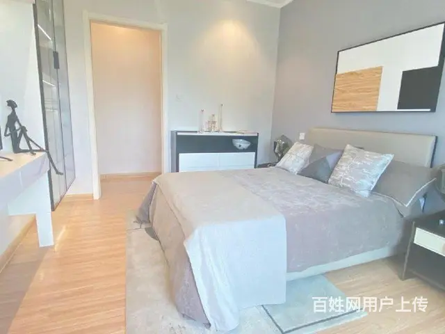 湖景高端准现房！靠近高铁站（车位）s4轻轨始发站 - 图片 6
