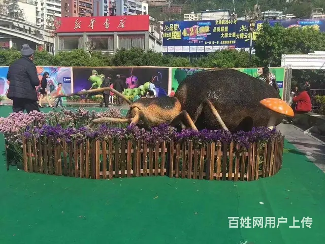 绍兴趣味昆虫展出租 昆虫展厂家 - 图片 8