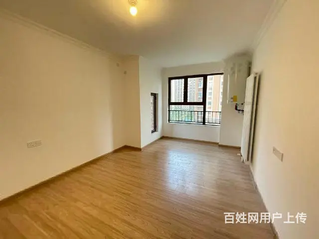 碧桂园凤凰山庄，精装修，全明，南北通透，东打头 - 图片 4