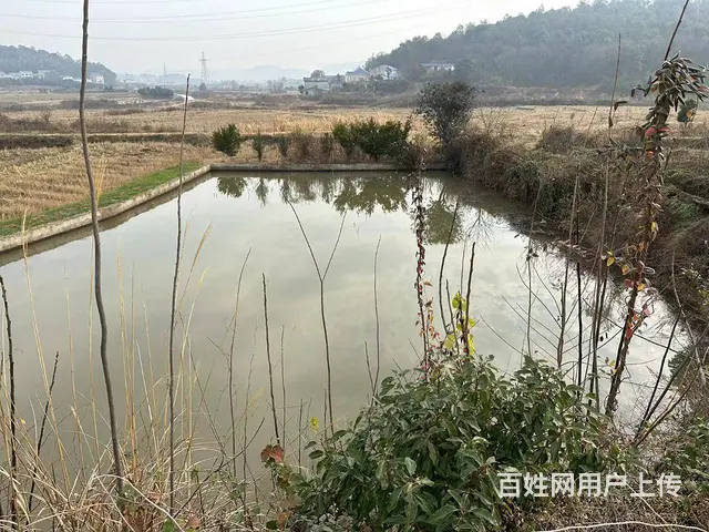 （老板本人）岳麓区高速路口旁12000平独院场地出租5840 - 图片 11