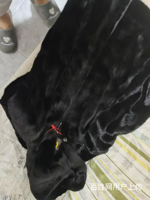 新貂皮大衣， - 图片 1