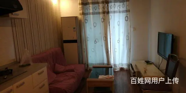 圣雅园一室一厅整套出租 - 图片 4