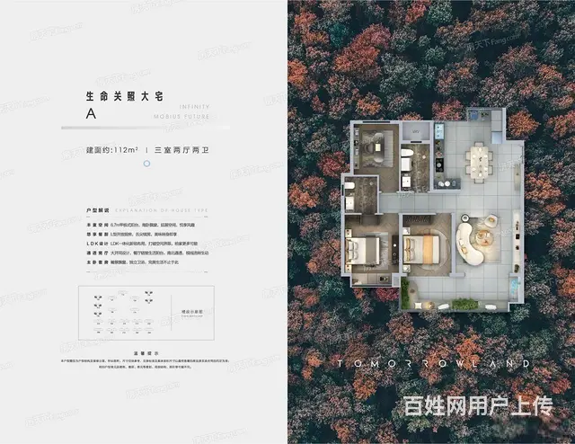 莱山大栖地，改善全明户型，南北阳台，送车位小棚 - 图片 9