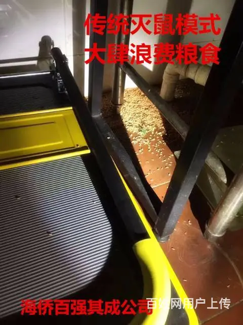 珠海灭蟑螂，灭鼠，灭白蚁！无效退款 - 图片 7