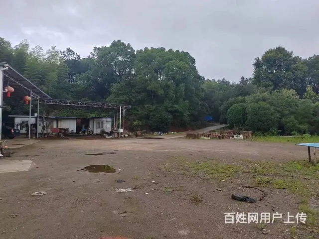 （老板本人）长沙县东八线附近独门独院场地优价出租  6557 - 图片 5