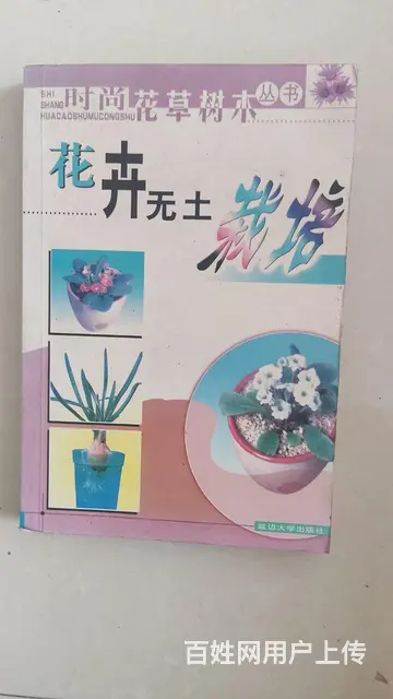 花卉无土栽培 - 图片 1