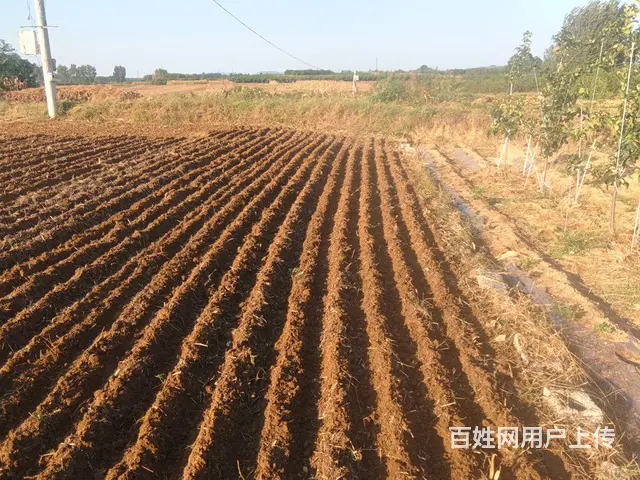 满外两米半小麦播种机出售 - 图片 2