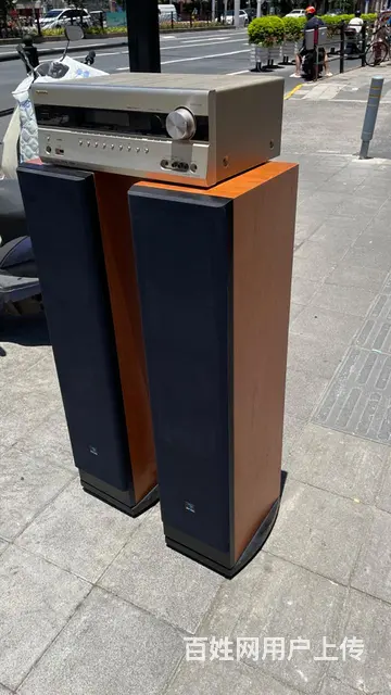 法国劲浪815发烧音箱+马来西亚安桥SR608功放 - 图片 12