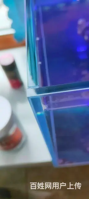 超白溪流缸珊瑚缸 - 图片 3