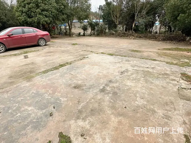 （老板本人）岳麓区含浦场地带整栋房屋出租  6167 - 图片 6