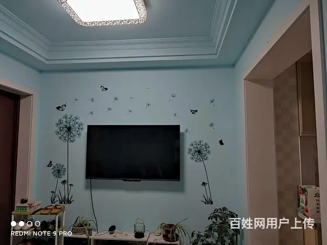 适合陪读的房子 - 图片 1