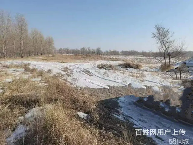 商业用地出售 - 图片