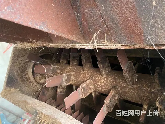17年沃德 - 图片 5