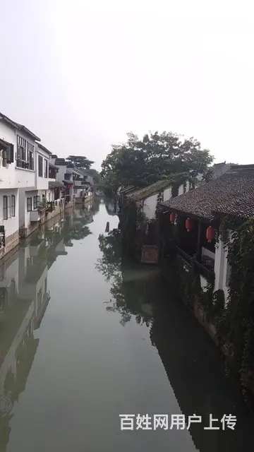 征婚 - 图片 1