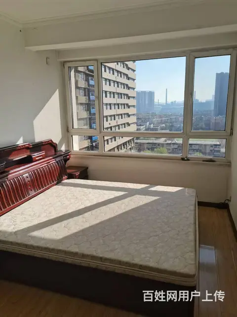 唐帝园 普通住宅 精装修 - 图片 3