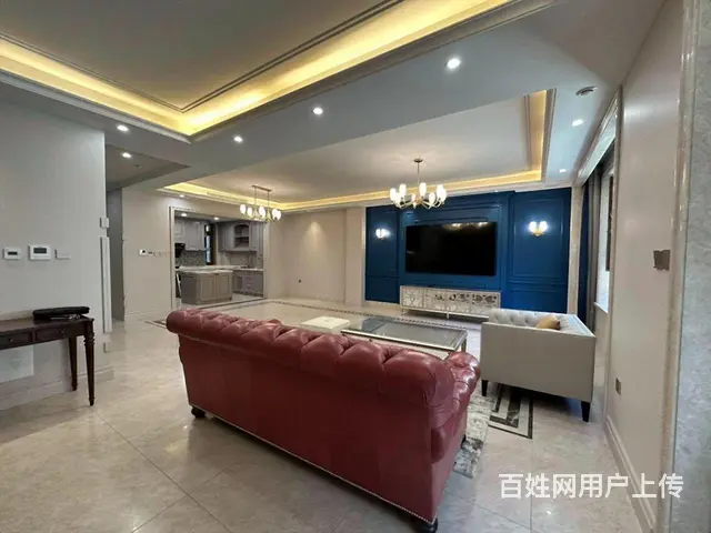 外滩叠拼洋房 1带2层 350米豪装 4室3卫送花园及车位 - 图片 9