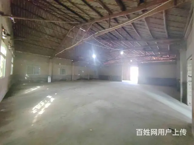 （老板本人）开福区捞刀河独门独院厂房仓库低价出租  6646 - 图片 4