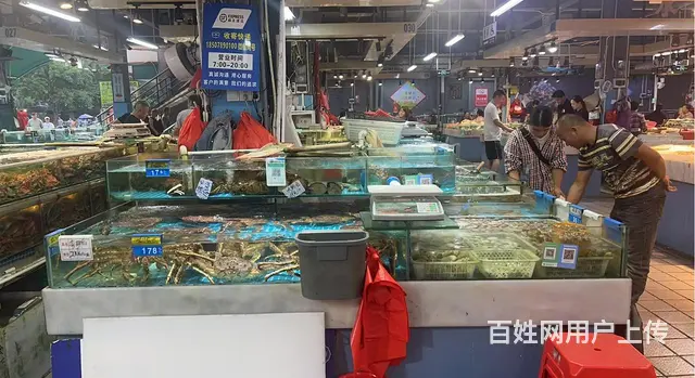 (速转店）转让或出租均可 华侨市场海鲜摊位 客流大 生意火 - 图片 2