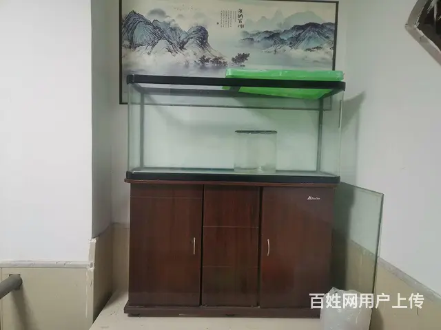 闲置鱼缸 - 图片 2