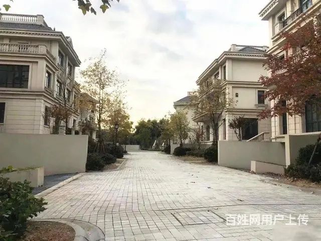 梦世界双拼别墅【带花园100平 带地下室100平】地铁0距离 - 图片 2