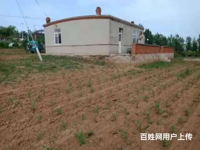 低价出售！急急急！房屋土地5.5亩，枣树梨树 - 图片 1