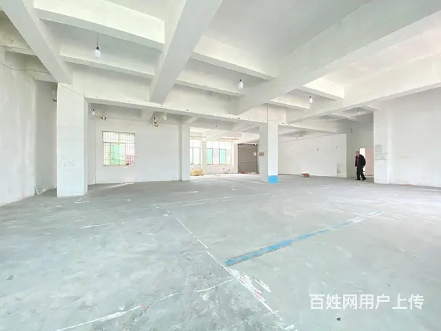 (房东直租)雷锋大道旁500平厂房，仓库优价出租，带货梯 - 图片 7
