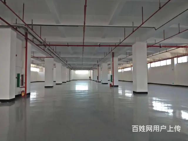 海口仓库厂房招租 - 图片 2