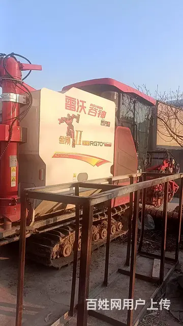 半年的金刚龙 - 图片 2