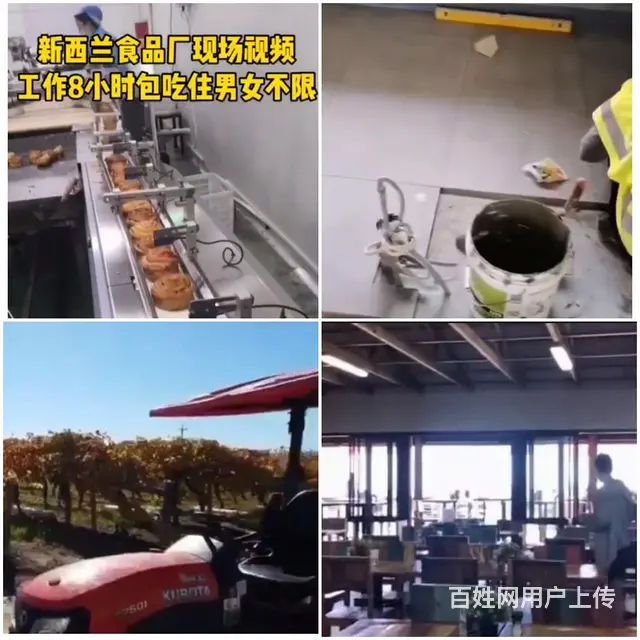 迪庆出国中介劳务派遣公司招塔吊、吊车司机出国打工海外劳务 - 图片 5