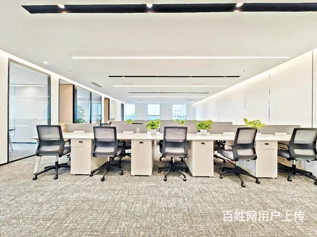 山鸟月中寒，梦醒平盛下。正大国际 豪华装修  业主急租！ - 图片 5