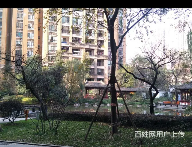 卖房 - 图片 4