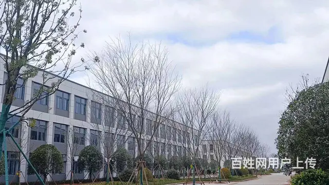 企业选址 独栋产品 一栋一企业 按揭3成起  50年产权 - 图片 9
