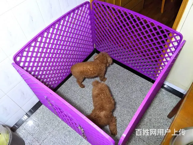 【个人转让】宠物围栏：长100cm * 高77cm - 图片 3