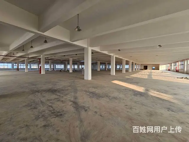 支塘独栋全新1至3楼每层6000平，高12米，可架20吨行车 - 图片 1