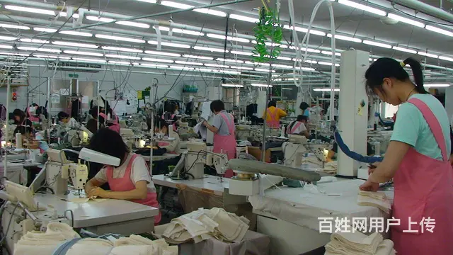 月嫂/保姆出国年入六十万 - 图片 9