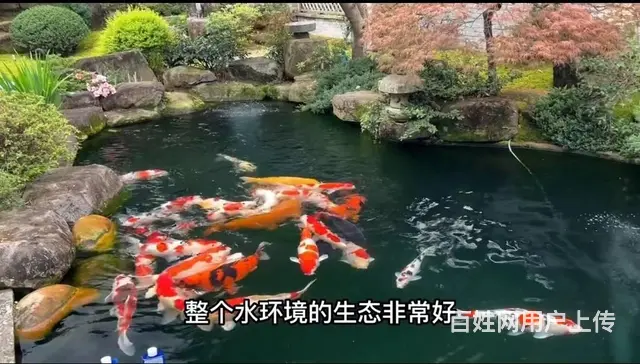 广州鱼池水泵维修，假山水泵维修，鱼池过滤维修，电话 - 图片 1